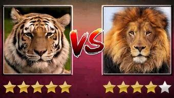 国产老虎第21集视频,揭秘神秘古墓，探寻千年宝藏之谜