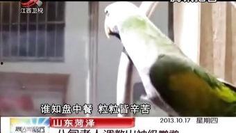 国产室外调教男奴视频,揭秘隐秘的欲望世界